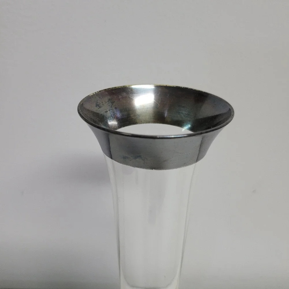 Vintage 10 Inch Clear Glass Bud Vase with Silver Rim Skinny Trumpet Decor
